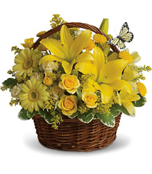 Basket Full of Wishes from Parkway Florist in Pittsburgh PA